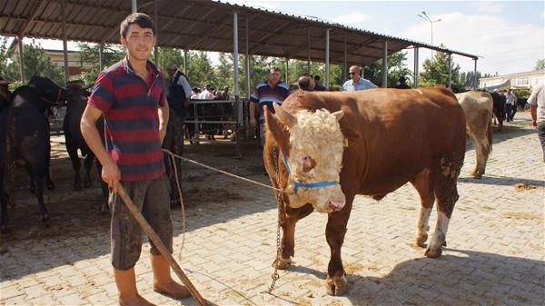 SAKLAMA KOULLARI    Kurban etlerinin ncelikle gne grmeyen yerlerde temiz kaplarda bekletilip, daha sonra tketilmesinin, ya da buzdolabna konulmasnn nemli olduunu anlatan Bursa Veteriner Hekimler Odas Bakan Sinan Salam, etin buzdolabnda 0-2 derecede 6 gn, buzlukta ise 2 hafta saklanabileceini syledi.