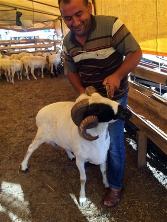 ETLER HEMEN TKETMEYN    Sinan Salam, kurban etlerinin saklanmas ve tketilmesiyle ilgili de nemli uyarlarda bulundu. Kurban etlerinin hemen tketilmemesi gerektiinin altn izen Salam, 14 derecenin atnda, hava almadan en az 5-6 saat bekletilip etin soutulmas gerektiine vurgu yapt.