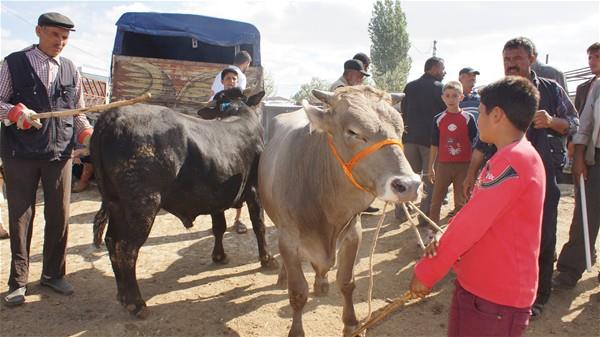 Bu srenin derin dondurucu da (-18 derecede) 3 ay sreye kabileceini kaydeden Salam, "Etler derin dondurucuya birer yemeklik halinde konulmal. Etlerin buzlar zldkten sonra tekrar buzdolabna konulmas son derece sakncaldr" diye konutu.