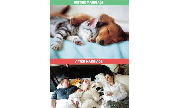 nceden evcil hayvanlarnz varken imdi bir e bir ocuk ve evcil hayvanlar vardr. E yata da bytmek gerekir haliyle.