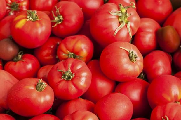 Anneniz ya da babanz ne derse desin baz yiyecekler asla buzdolabnda saklanmamal. Genelikle domates ve ekmei buzdolabnda saklyoruz oysa bu yiyecekler buzdolabna konduunda besin deerlerini kaybediyor. Domates buzdolabda saklandnda olgunlamasnn nne geiyor ve lezzetinin kaybolmasna neden oluyorsunuz.