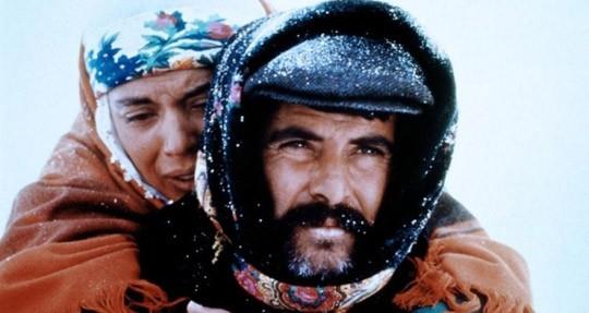 1982 ylnda erif Gren ve Ylmaz Gney'in ynettii efsane olan Yol filmi ile ok byk baar elde etmi ve dnyaya adn duyurmutur. Film 1982 ylnda Cannes Film Festivali'nde Altn Palmiye dln alan tek film olmutur ve Akan, En yi Erkek Oyuncu kategorisinde aday olmutur.