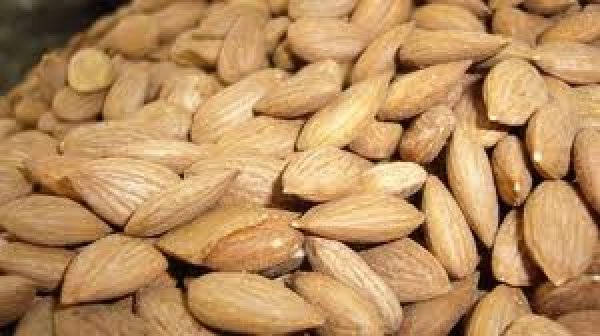 Yemek baklk sisteminin kendini yenilemesinde yardmc olur.