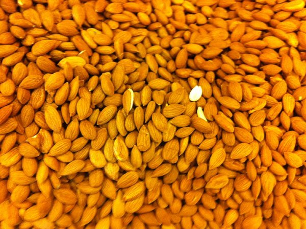 Hafif zehirlenmelerde ba dnmesi, ba ars, bulant, kusma, denge kayb ilk ortaya kan bulgulardr.