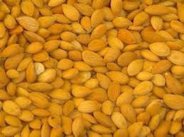 ikayet devam ederse tansiyon dmesi, kalpte hzl arpma, bilin bulankl ve koma ortaya kabilir.