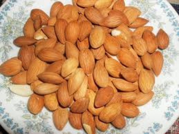 Harward niversitesinde yaplan bir aratrmaya gre kays ekirdekleri akcierler ve dier solunum sistemleri iin faydaldr.