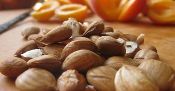 Bu durum devam etmesi ve gerekli nlem alnmad takdirde rahatszlk lmle sonulanabilir.