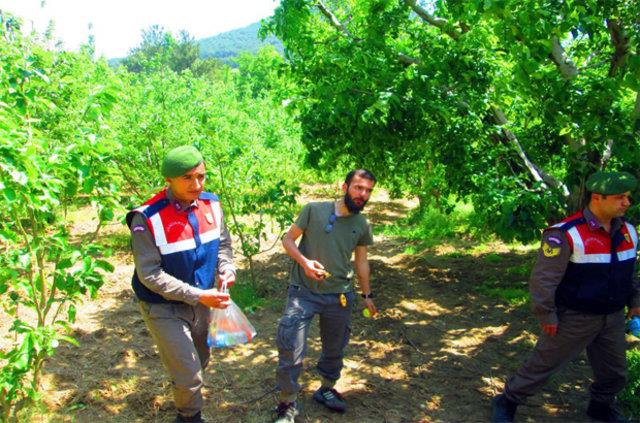 <p>ORMANDA KAYBOLMUTU</p>  <p>Gltekin Mert, getiimiz yl Mays aynda, anakkale'nin Bayrami lesi'nde dzenlenen "Kazdalar bulumas" etkinliine katlm, "zirve yry" srasnda kaybolmutu.</p>