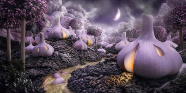 Fotoraflar yeillendi