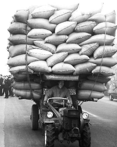 "Sihirli" tamaclk zmleri.