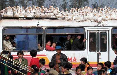 Gerektiinde aracn tavann da deerlendirebilirsiniz.