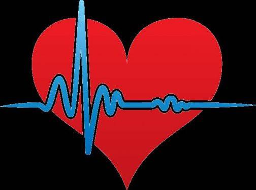 <p><b>KALP KENDN 20 YILDA YENLYOR</b></p>  Yllarca kalbi oluturan hcrelerin doduktan sonra deimedii sanld.