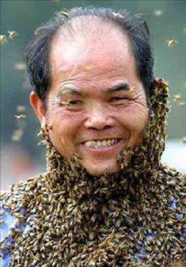 Bu zehrin vcutta iltihab dzenleyen doal hormonlar artran molekller ierdii kaydedildi.