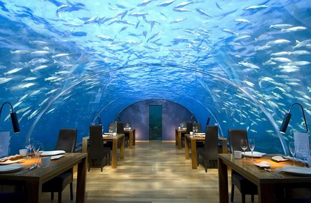 Ithaa Undersea Restaurant, Alif Dhaal Atoll, Maldivler
