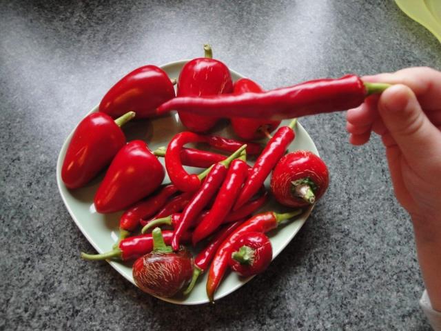 Ac biber: Dumanda bulunan kimyasal maddelerin zararlarna kar solunum sistemini duyarszlatryor.