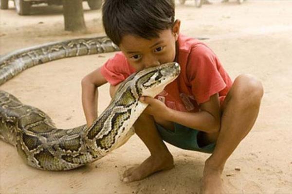 Cesaret isteyen dostluklar.