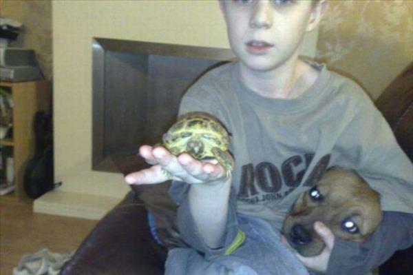 Cesaret isteyen dostluklar.