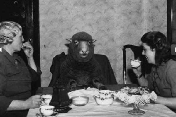 Cesaret isteyen dostluklar.