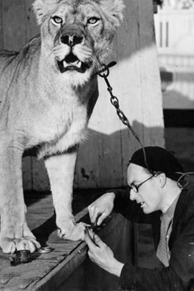 Cesaret isteyen dostluklar.