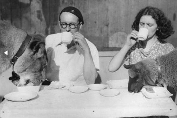 Cesaret isteyen dostluklar.