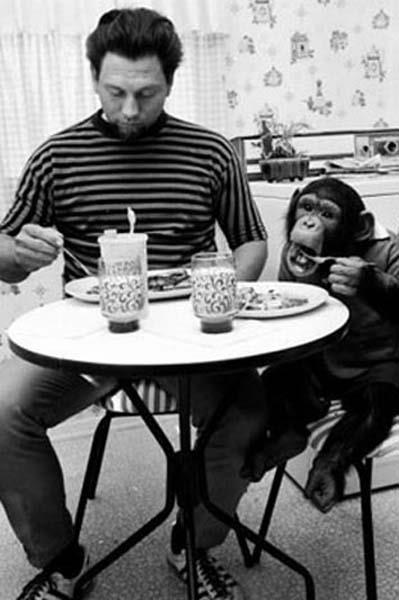 Cesaret isteyen dostluklar.