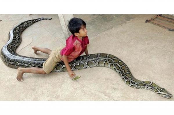 Cesaret isteyen dostluklar.