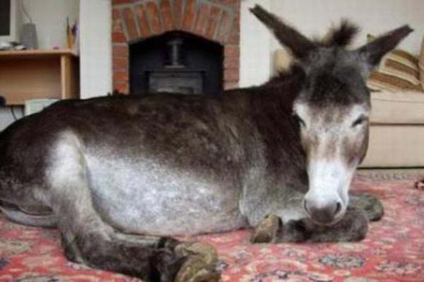 Cesaret isteyen dostluklar.