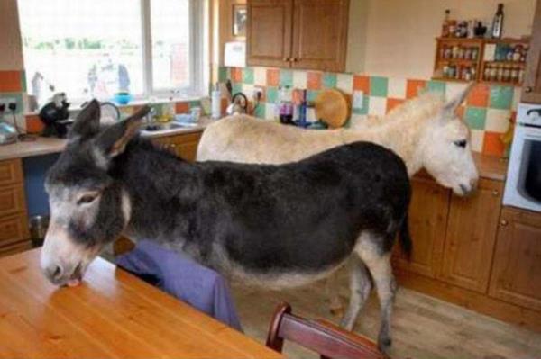 Cesaret isteyen dostluklar.