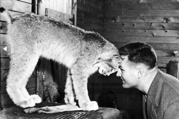 Cesaret isteyen dostluklar.