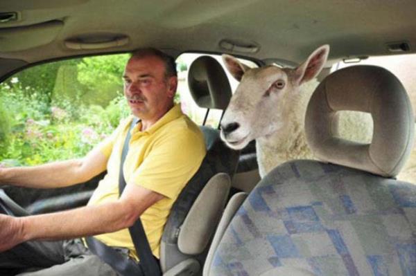 Cesaret isteyen dostluklar.