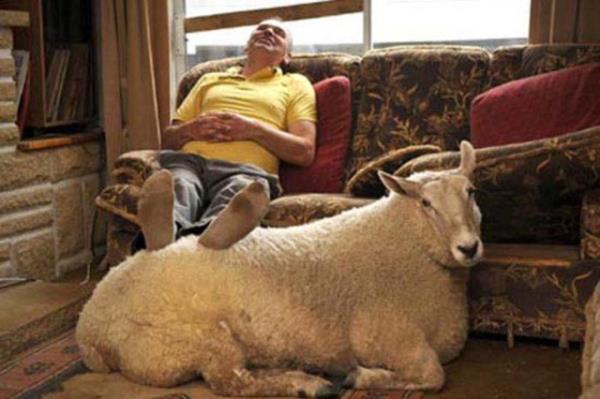 Cesaret isteyen dostluklar.