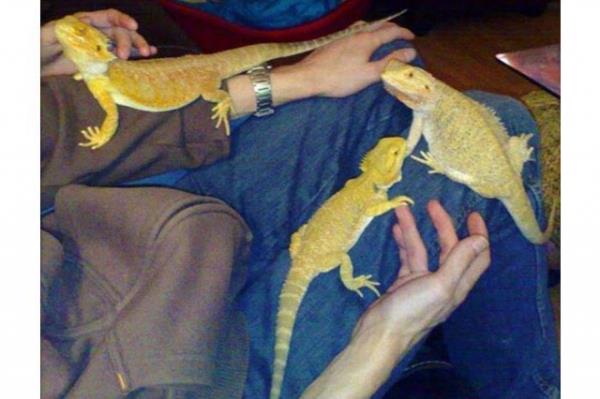 Cesaret isteyen dostluklar.