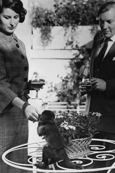 Cesaret isteyen dostluklar.