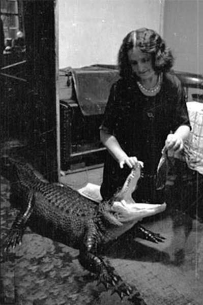 Cesaret isteyen dostluklar.