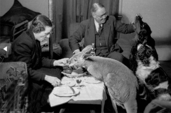 Cesaret isteyen dostluklar.