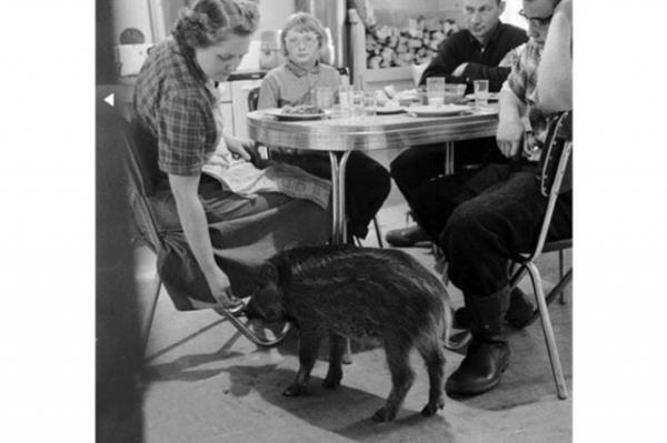 Cesaret isteyen dostluklar.