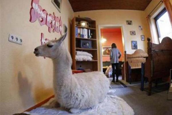 Cesaret isteyen dostluklar.