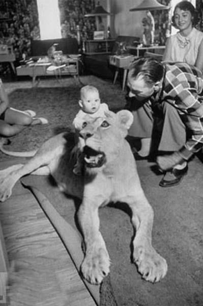 Cesaret isteyen dostluklar.