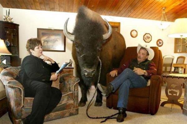 Cesaret isteyen dostluklar.