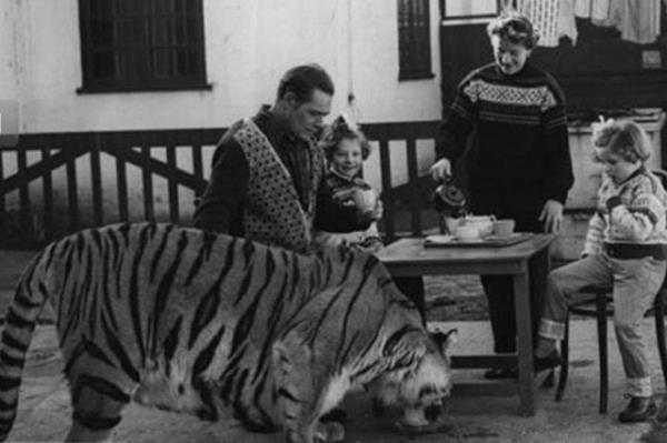 Cesaret isteyen dostluklar.