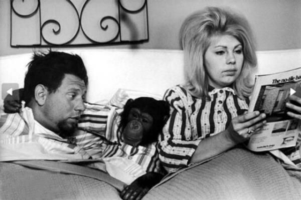 Cesaret isteyen dostluklar.