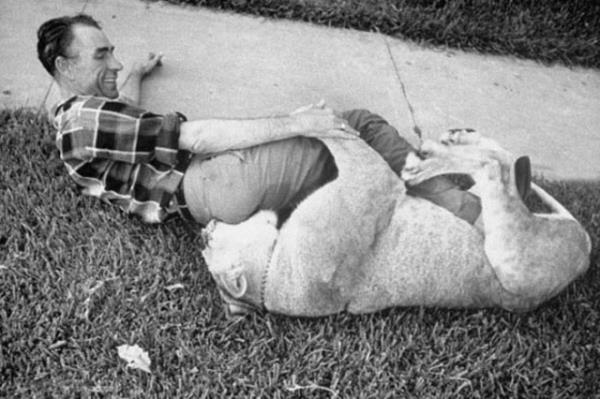 Cesaret isteyen dostluklar.