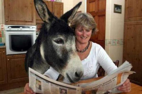 Cesaret isteyen dostluklar.