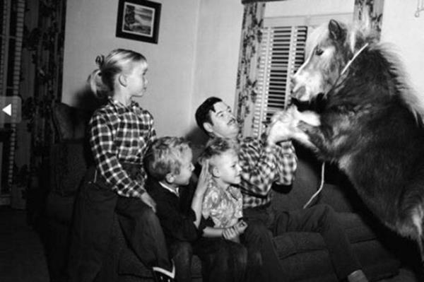 Cesaret isteyen dostluklar.