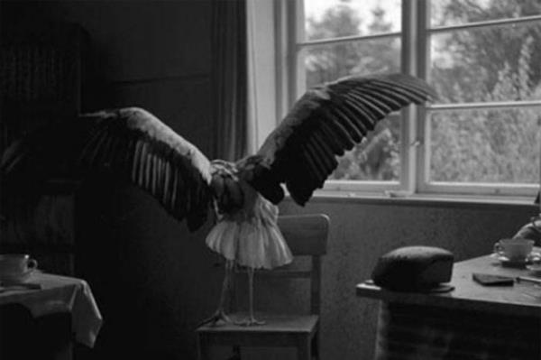 Cesaret isteyen dostluklar.