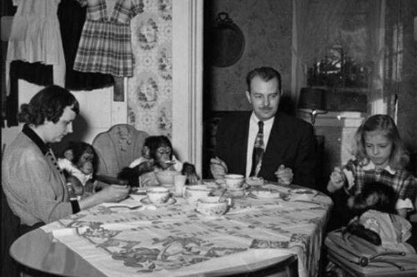 Cesaret isteyen dostluklar.