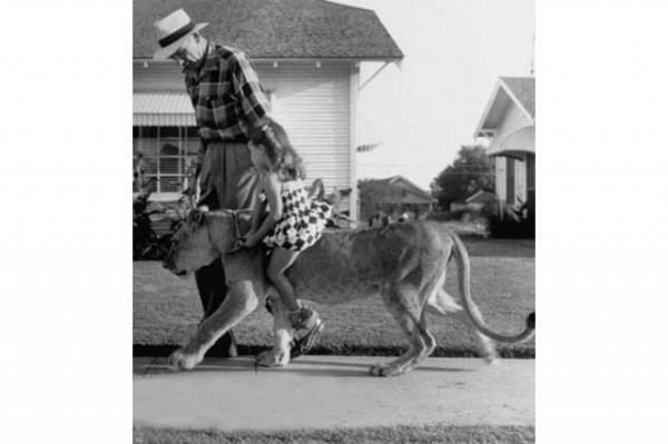 Cesaret isteyen dostluklar.