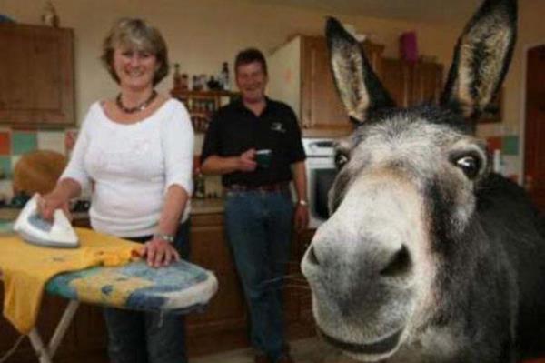 Cesaret isteyen dostluklar.