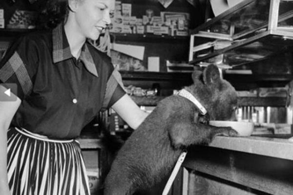 Cesaret isteyen dostluklar.