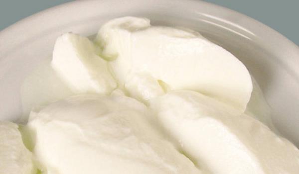 Yourdun sindirim asndan vcutla dost olduunu vurgulayan ahin, zellikle kalsiyum ve protein deerinin yksekliinden sz etti.